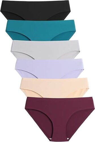 Caterlove Women’s Silky Seamless No-Show Bikini Panties 6 Pack